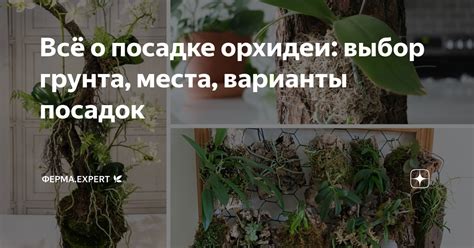 Выбор места и приготовление грунта