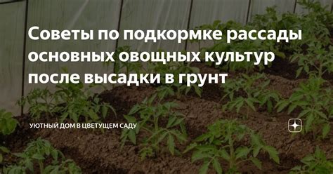 Выбор наиболее рентабельных овощных культур