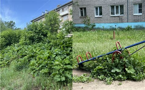 Выбор наилучшего локации для подготовительного этапа взаимообмена энергией