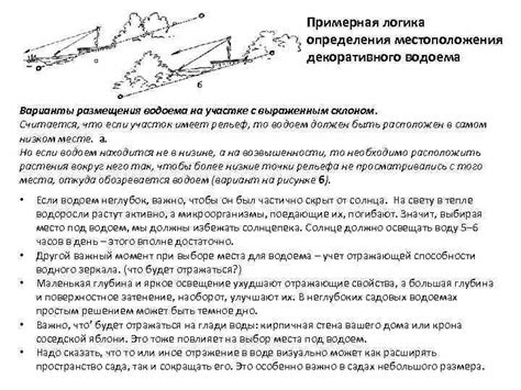 Выбор оптимального местоположения для размещения декоративного растения