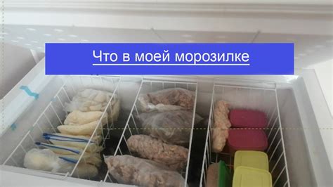 Выбор подходящего контейнера для хранения зельца в морозильной камере