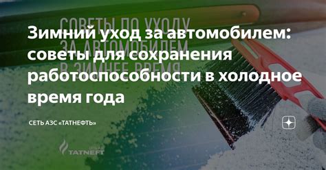 Выбор подходящего места для сохранения растений в холодное время года