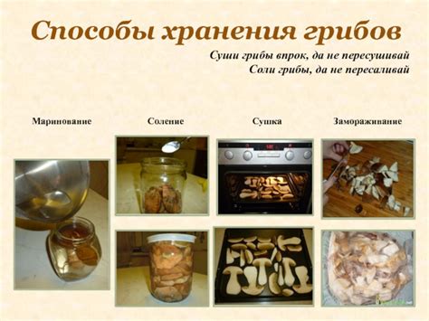 Выбор подходящих грибов для приготовления