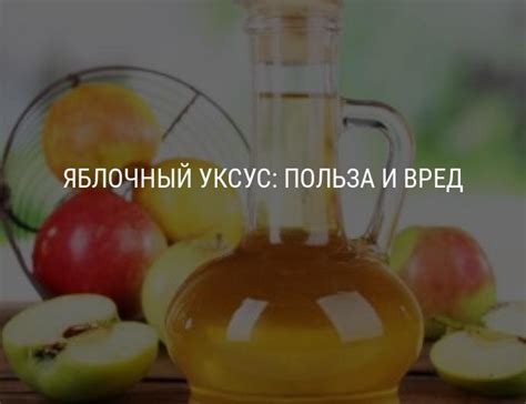 Выбор подходящих фруктов для приготовления яблочного уксуса