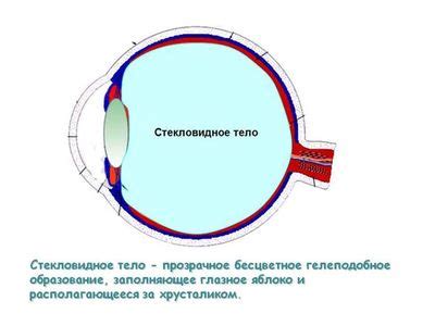 Выгоды Ликосола 2000 для зрительной системы