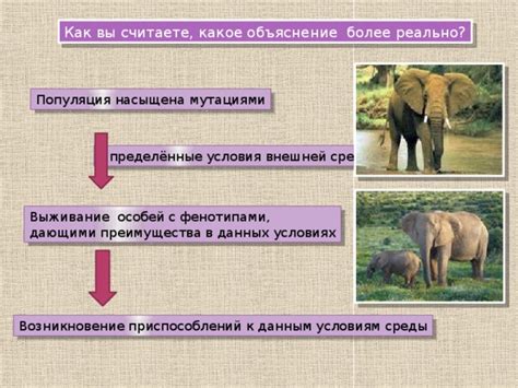 Выживание без особых приспособлений: примеры существ, способных к адаптации