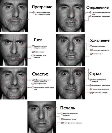 Выражение эмоций через взгляд: распознавание и интерпретация