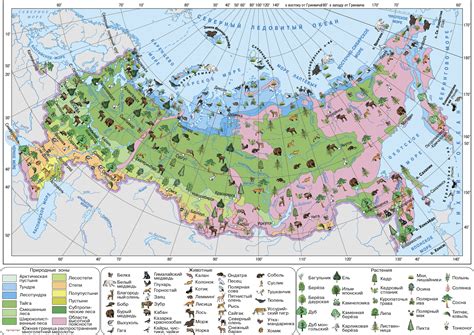 Высота и размеры природного красавца в Моргаушской местности