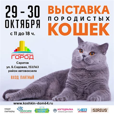 Выставка кошек "Кошкин Дом": ожидаемые даты и наиболее популярные породы