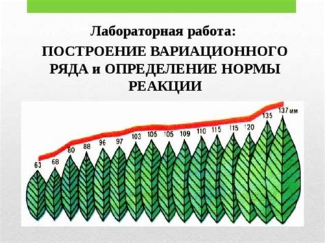 Выявление морфосинтаксических закономерностей