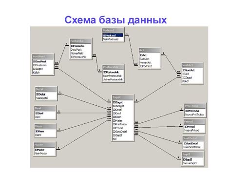 В поисках знаний: структура базы данных в приложении для решения вопросов