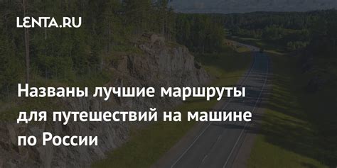 В поисках редкостей: лучшие маршруты для поиска гнилоступа и лузрана