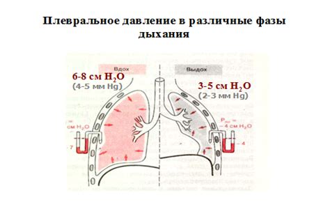 Газовый принцип создания отрицательного давления в пробирке