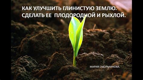 Где найти необходимые материалы: где искать глинистую землю