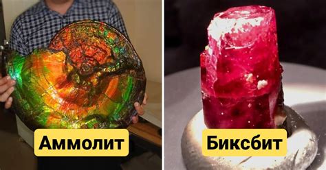 Где отыскать редких кристальных sliminators
