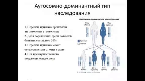 Генетические причины выкидышей