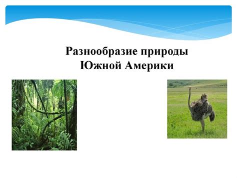 Географическая обстановка Куликова поля: разнообразие природных ландшафтов и рельефных формаций