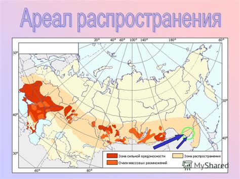 Географическое ареал великолепного цветка