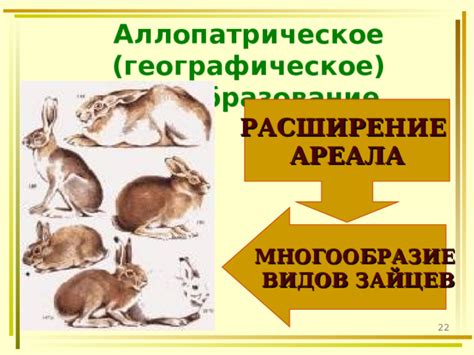 Географическое многообразие обитаний и ареалов зайцев