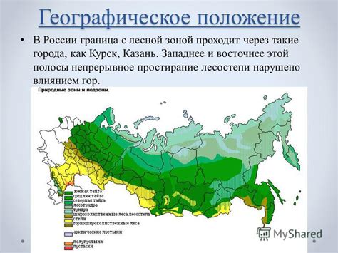 Географическое положение особого места в лесной местности