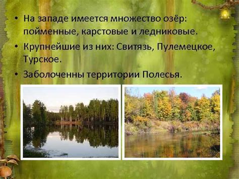 Географическое размещение эвкалиптовых лесов в Абхазии