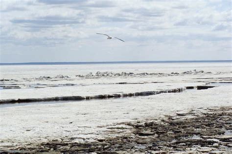 Географическое разнообразие и местоположение Белого моря