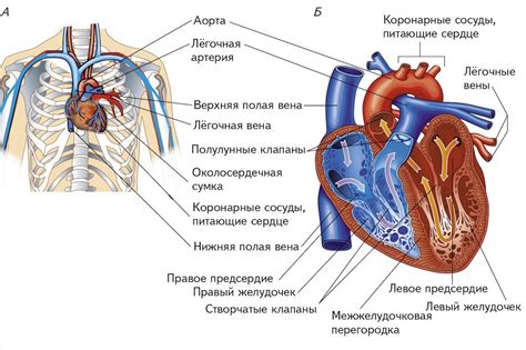 Географическое расположение кругового дома в сердце Твери