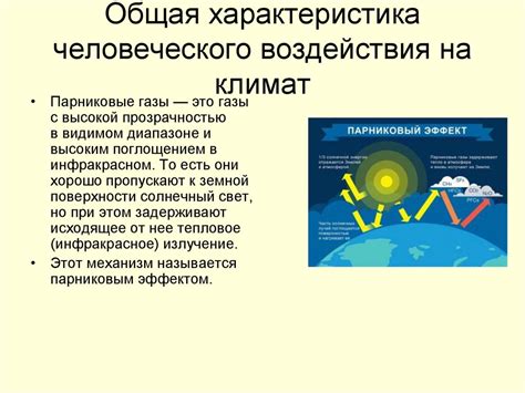 Географическое расположение северного побережья и его воздействие на климат