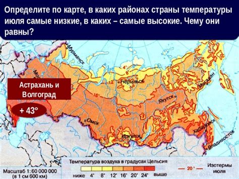 География видов: распределение и различия