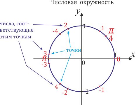 Геометрическое представление числовой окружности