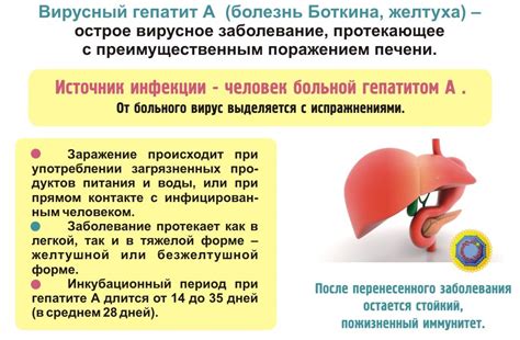 Гепатит E: распространение и признаки заболевания