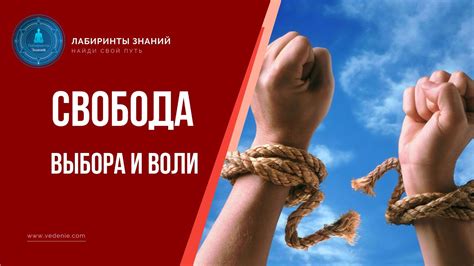 Гибкость расписания и свобода выбора