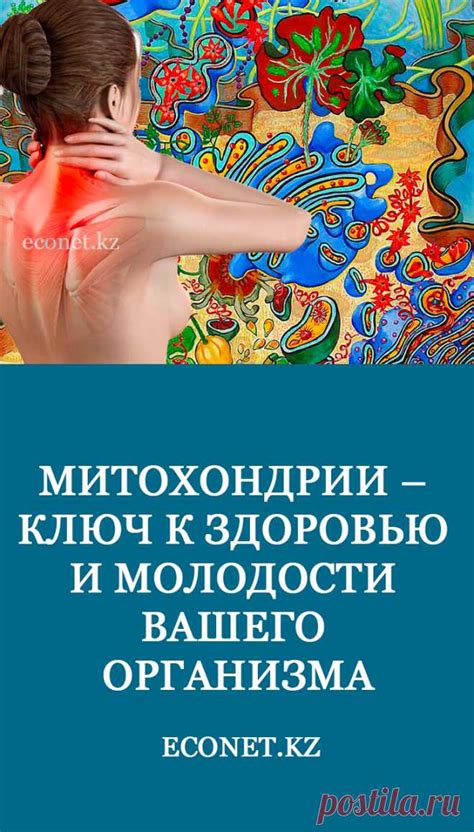 Гидроскелет гидры: важная роль клеток, обеспечивающих движение и поддержку