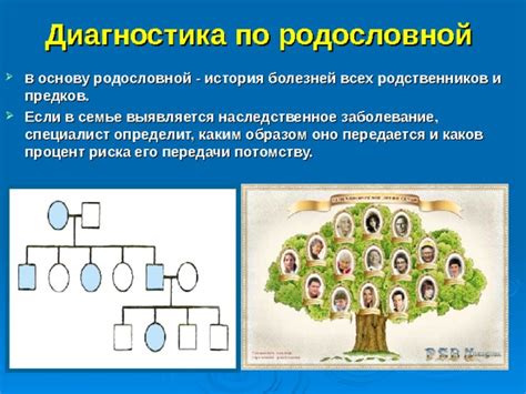 Гипертрихоз: уникальное наследственное свойство в семье