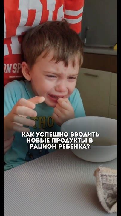 Глава 9: Как внедрять новые продукты в рацион маленького ребенка