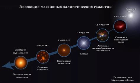 Главные звезды и уникальные представления