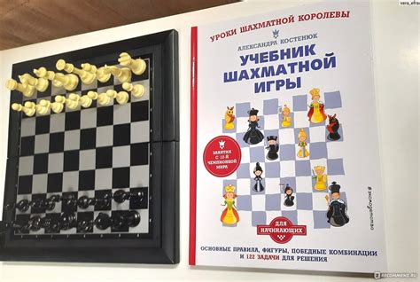 Главные фигуры и правила: введение в основы шахматной игры