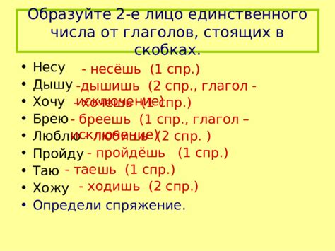 Глагол во втором лице единственного числа: особенности и изменения