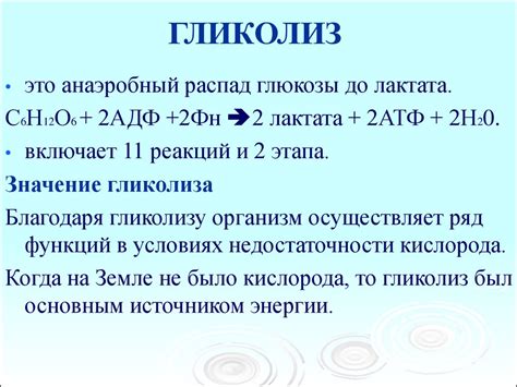 Гликолиз: первый шаг в формировании жизненно важных элементов в клетке