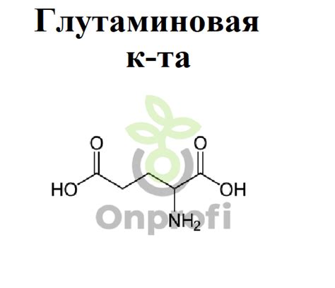 Глутаминовая кислота как аминокислота первой необходимости