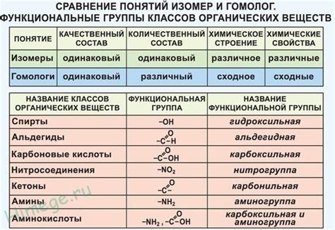 Гомология: понятие и механизмы