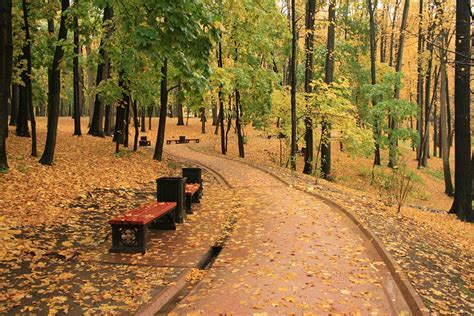 Городские парки с прекрасными возможностями для катания