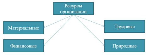 Государственные организации и их ресурсы