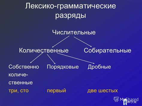 Грамматические аспекты в узбекском и казахском языках