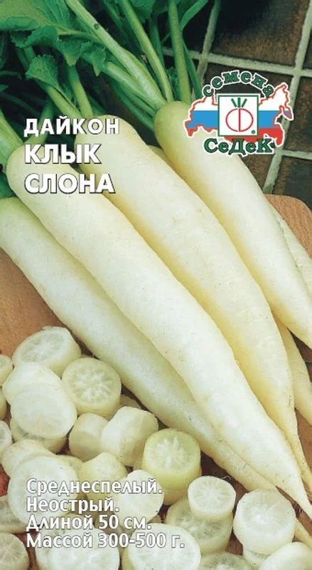 Дайкон: описание и особенности