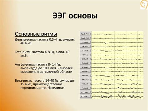 Дезорганизация электроэнцефалограммы (ЭЭГ) у ребенка: понимание явления