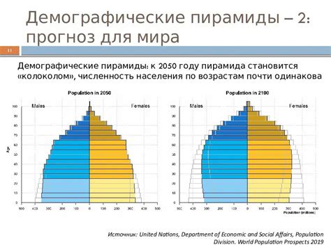 Демографический взрыв: пределы возраста населения, где численность стремительно увеличивается