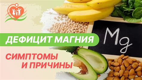 Дефицит витамина В6 и магния: последствия и профилактика