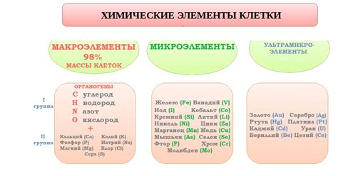 Дефицит необходимых микроэлементов: признаки и влияние на здоровье мужчин