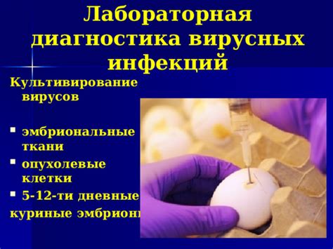 Диагностика вируса коха